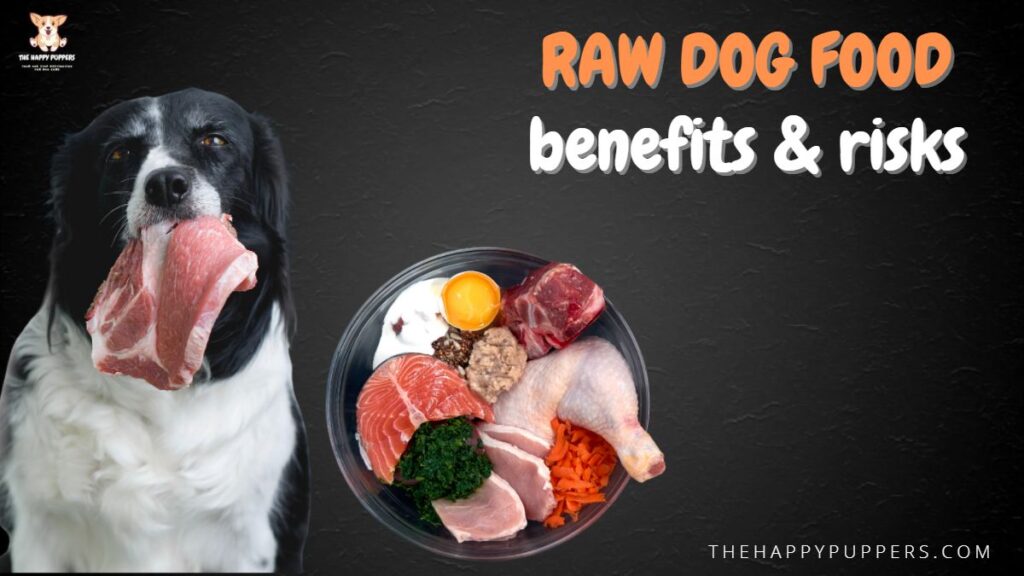 Raw Dog Food Benefits And Risks The Happy Puppers