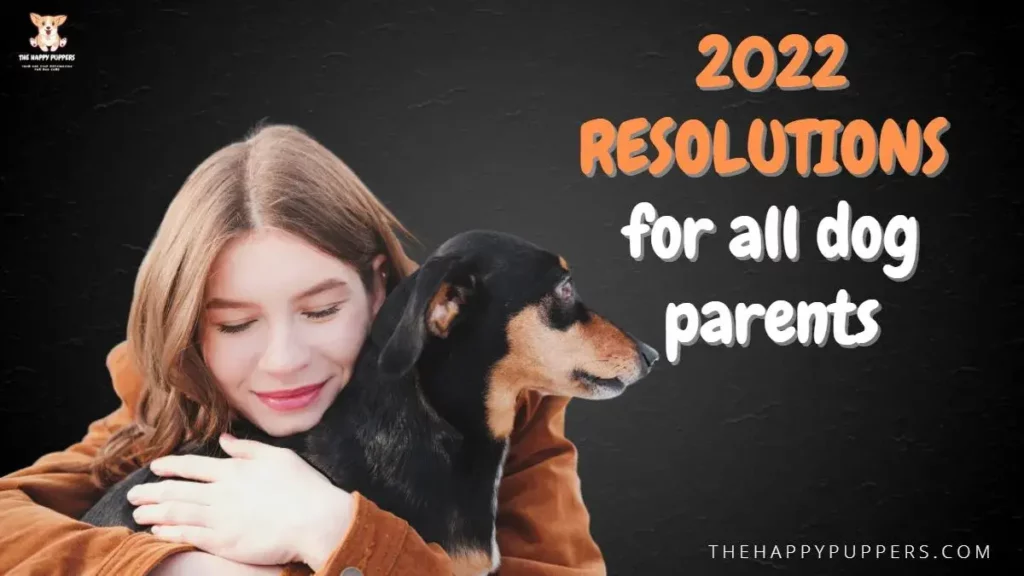 2022 resolutions for dog guardians