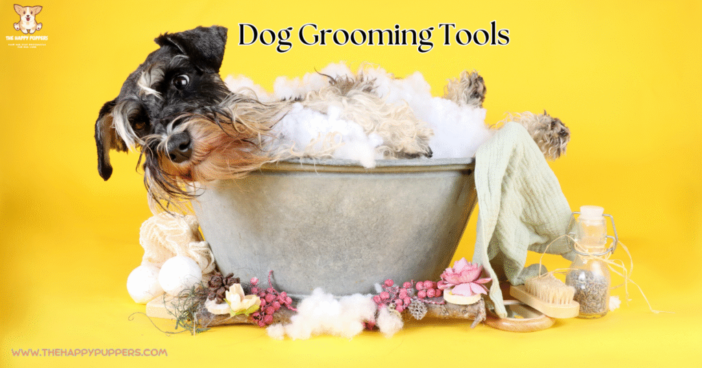 Dog Grooming Tools