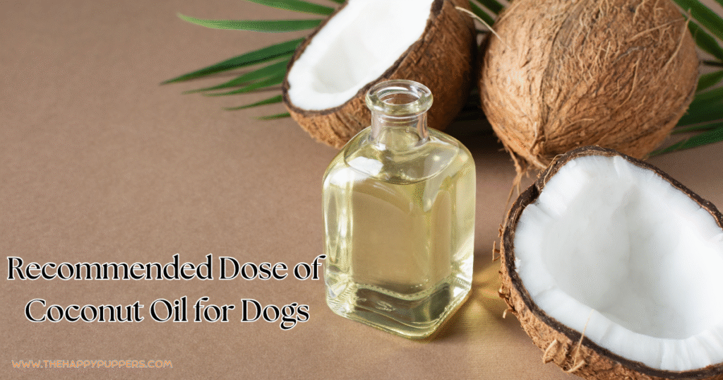 Recommended dose of coconut oil for dogs