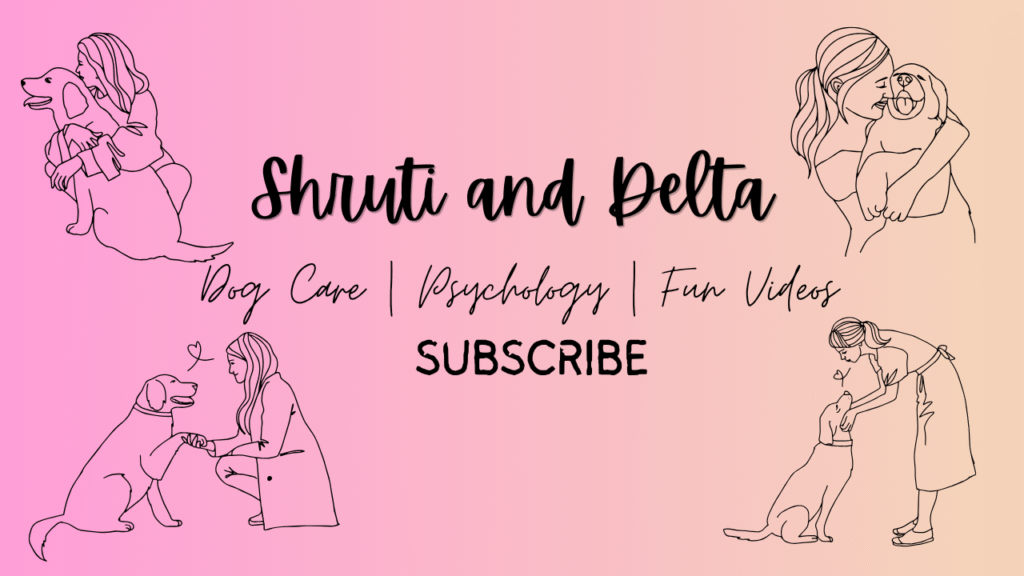 Subscribe to the channel Shruti and Delta YouTube channel
