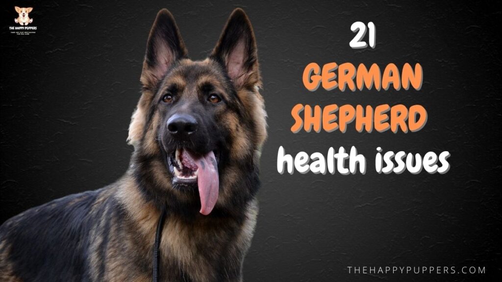 21 german shepherd health issues