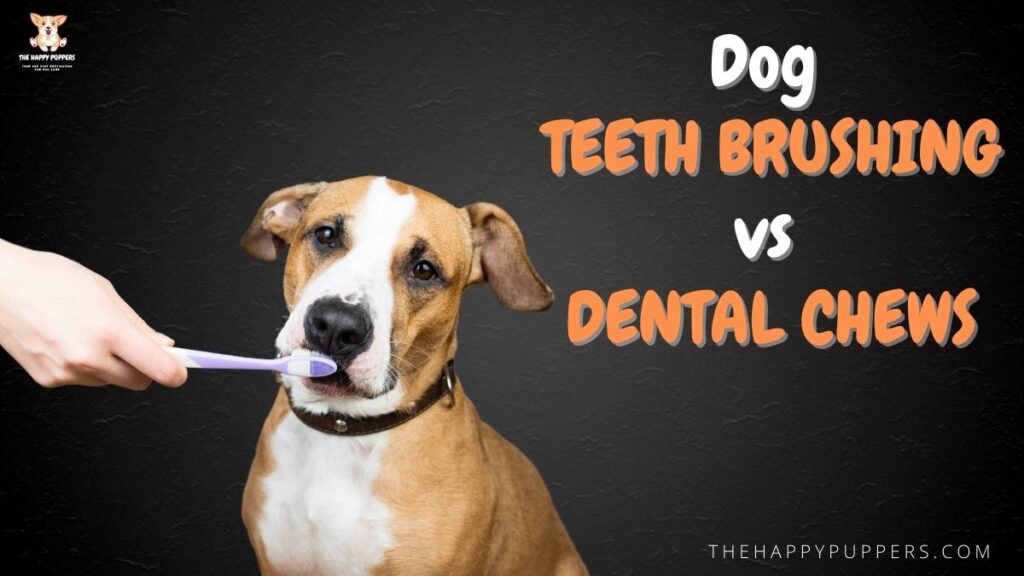 Dog teeth brushing vs dental chews