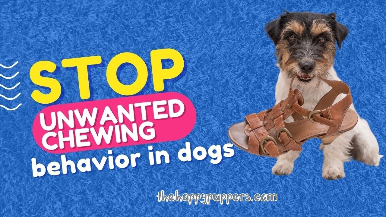 Stop unwanted chewing behavior in dogs
