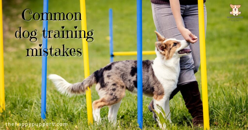 Most common dog training mistakes