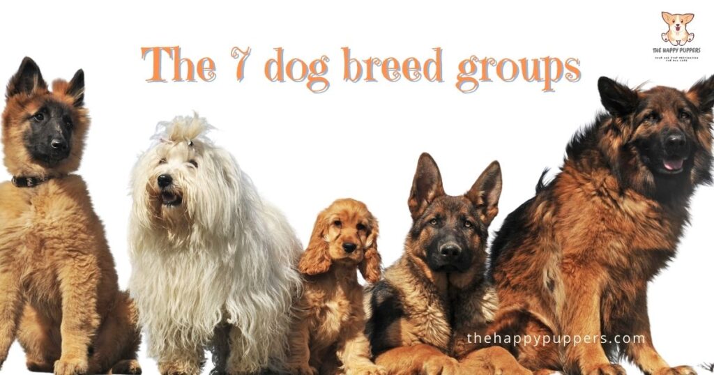 The 7 dog breeds