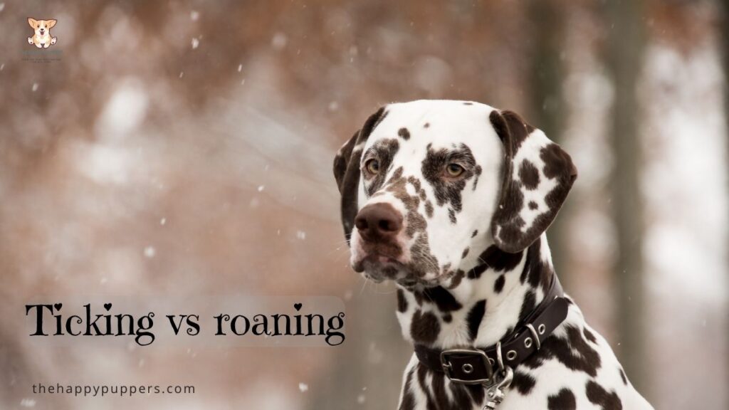 ticking vs roaning