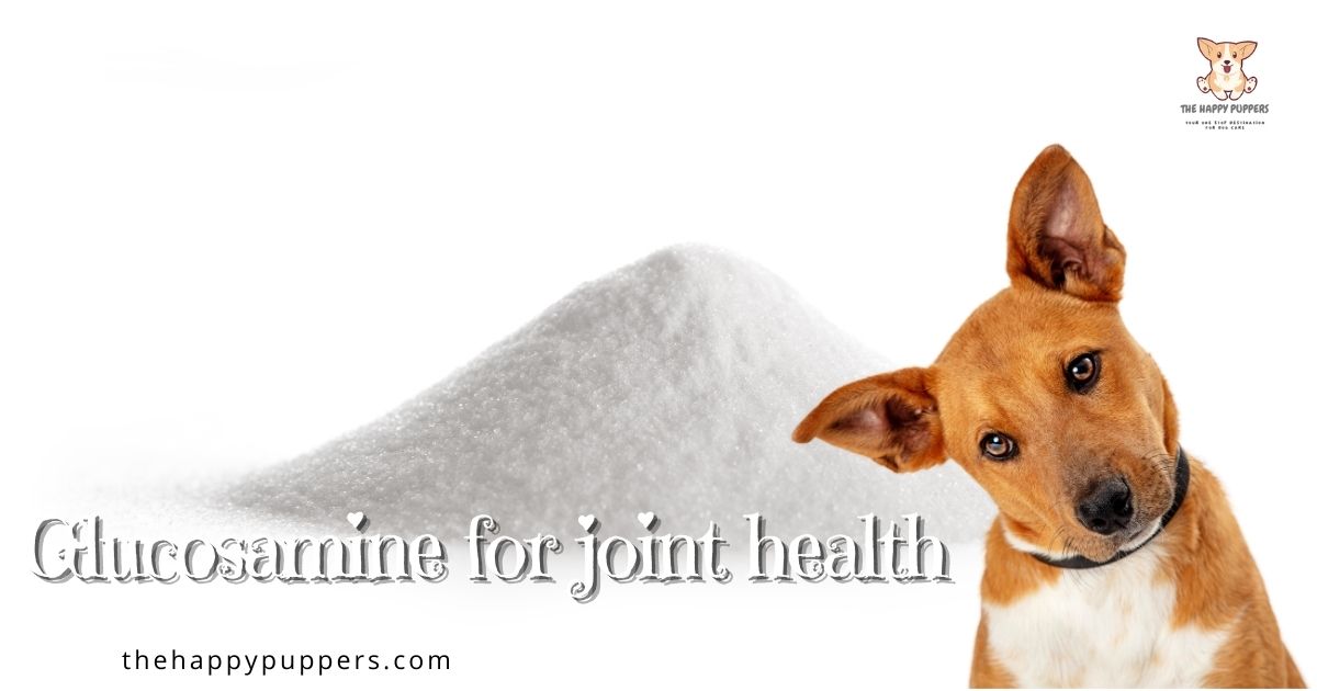 Glucosamine for dogs a complete guide The Happy Puppers