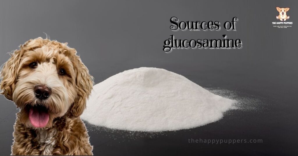 Sources-of-glucosamine