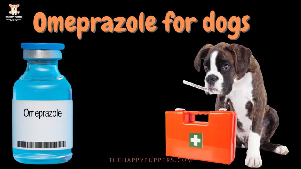 Omeprazole for dogs