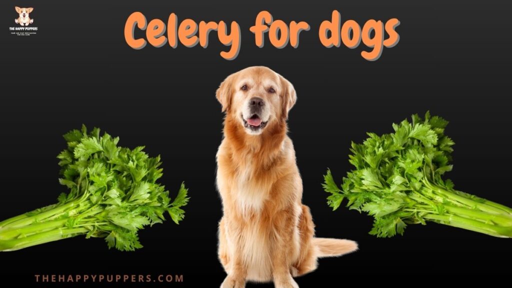 Celery for dogs