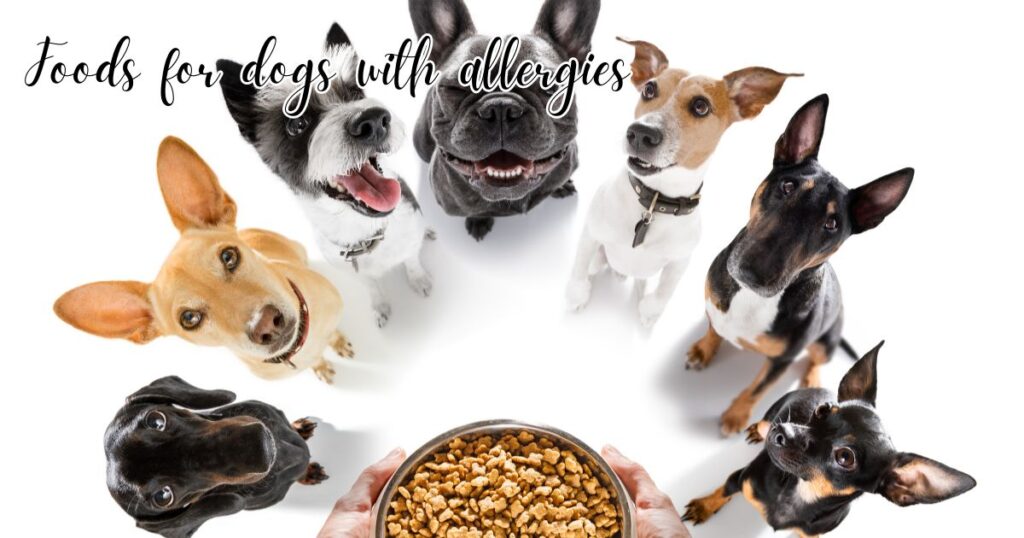 Foods for dogs with allergies