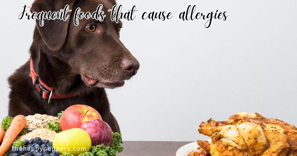 Frequent foods that cause allergies