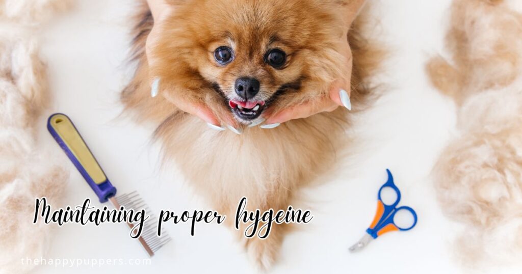 Maintaining proper hygeine