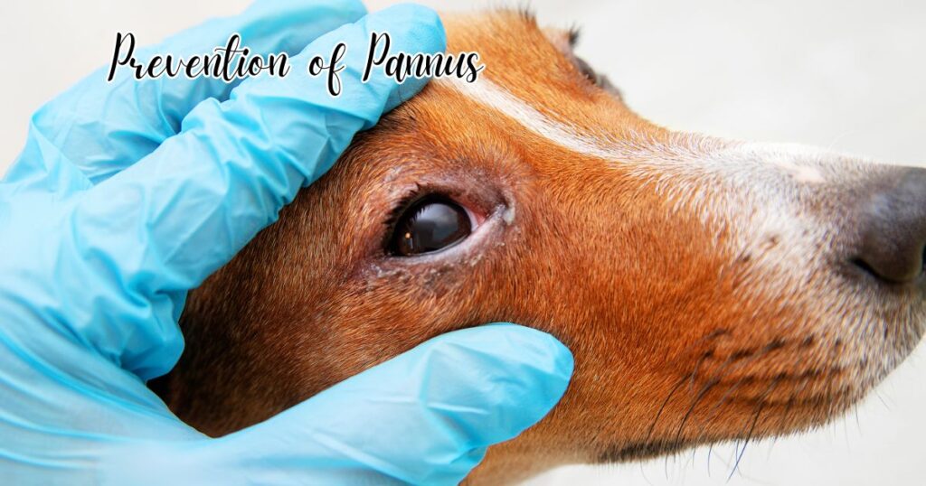 Prevention of Pannus