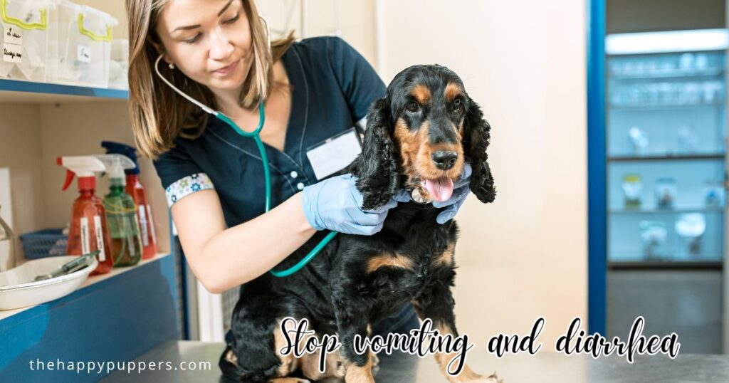 Stop vomiting and diarrhea