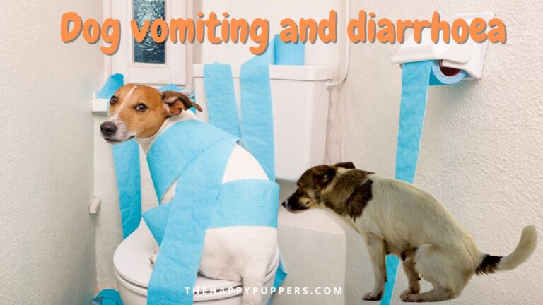 Dog vomiting and diarrhea