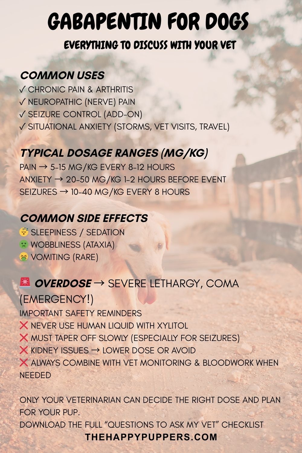 Gabapentin dosage for dogs: a complete guide - The Happy Puppers