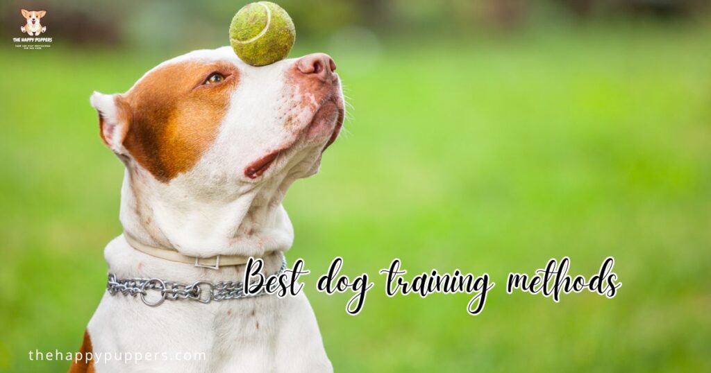 Best dog training methods