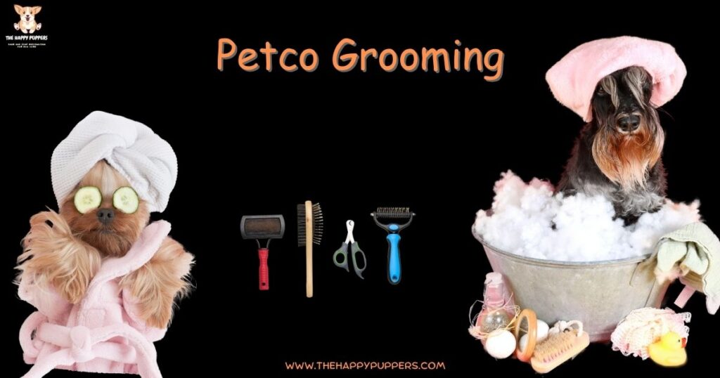 Petco Grooming Your Ultimate Guide in 2025 The Happy Puppers