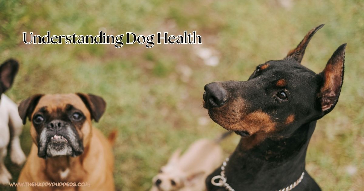Understanding Dog Health - The Happy Puppers