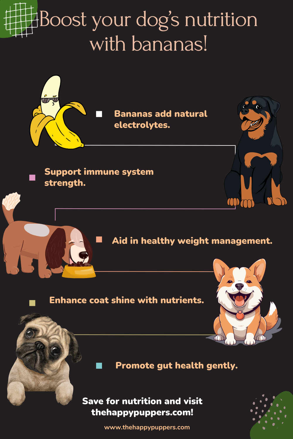 Can Dogs Eat Banana? A Friendly Guide - The Happy Puppers - Can Unripe Banana Affect Dog'S Ears