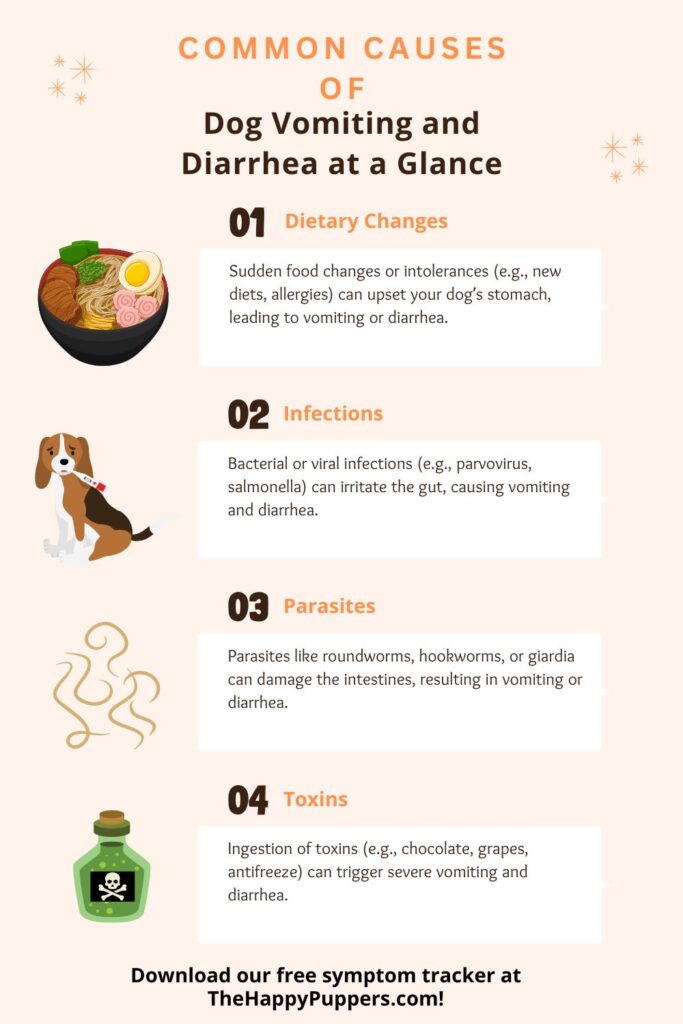 Common causes of dog vomiting and diarrhea