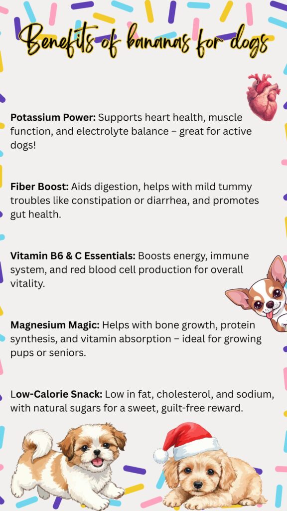 benefits for bananas for dog