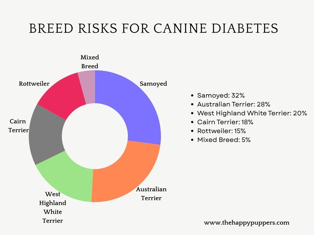 Visual chart of breed risks for canine diabetes, with sections showing percentage risks for high-risk breeds like Rottweiler, Samoyed, and Terrier types.