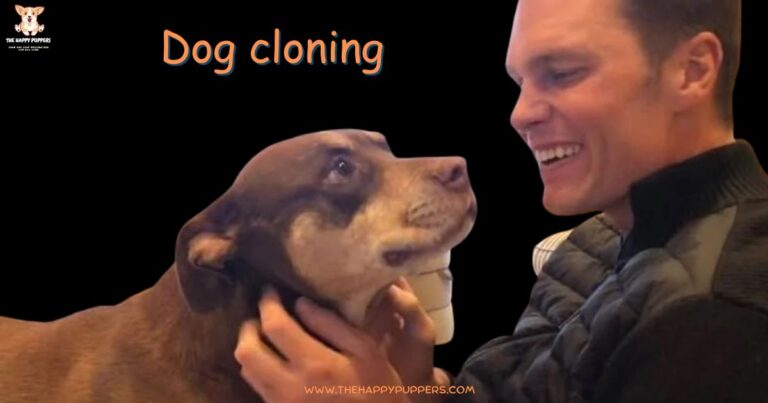 Dog cloning