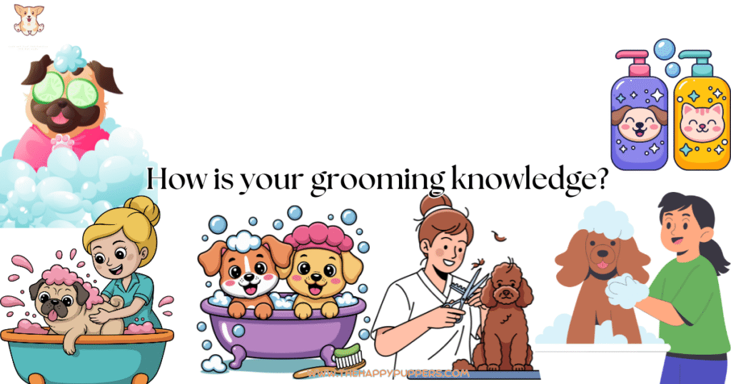 Many dog grooming images in the backdrop with the text How is your grooming knowledge written