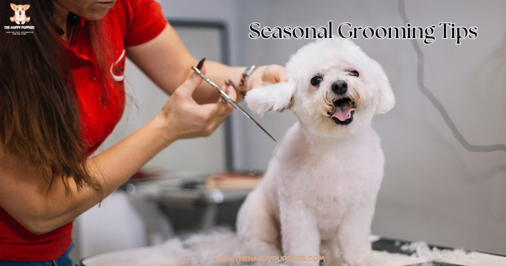 Image showing a dog at the groomers getting his ear fur snipped by the groomer with the overlay text saying seasonal grooming tips