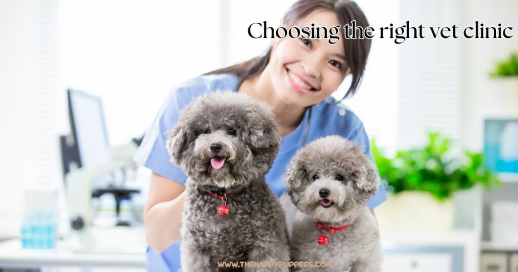 Choosing the right vet clini