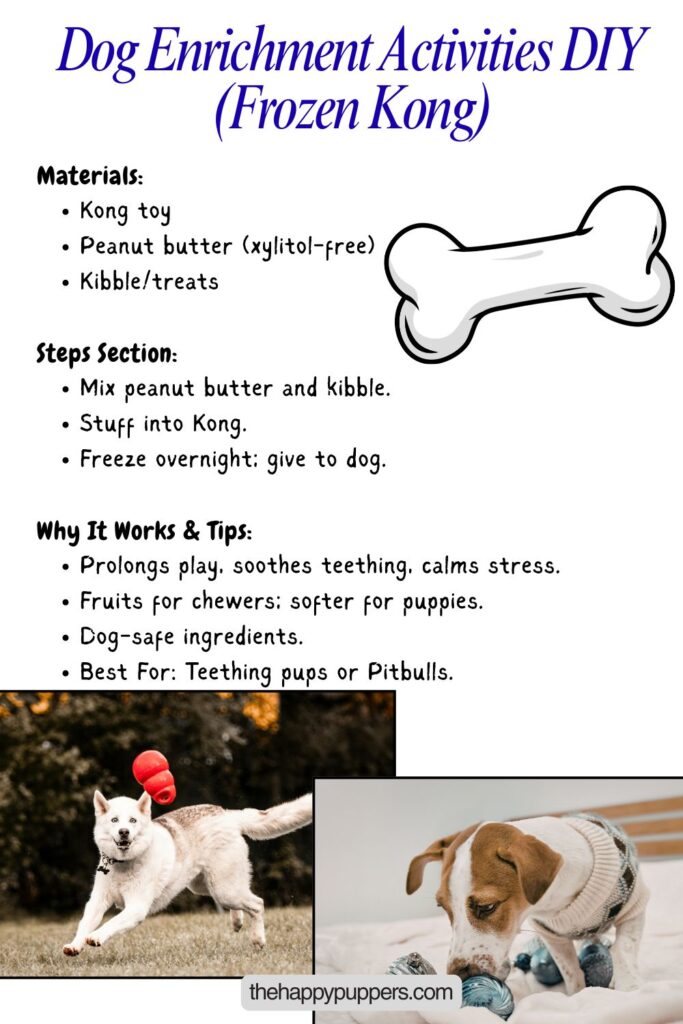 An infographic image on Dog Enrichment Activities DIY (Frozen Kong)