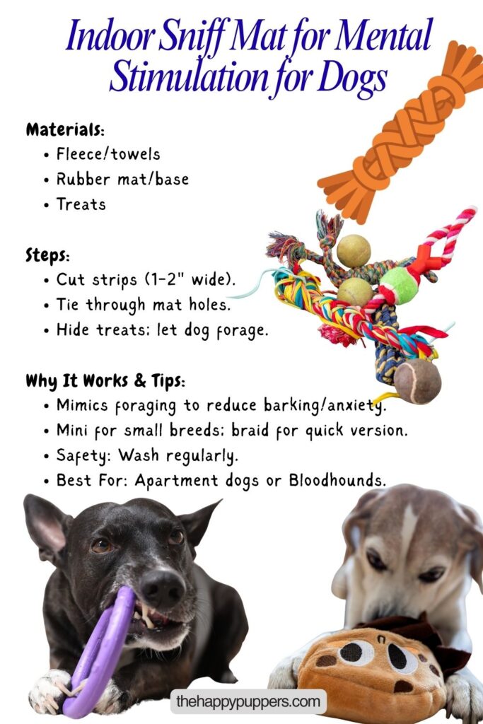 An infographic image on Indoor Sniff Mat for Mental Stimulation for Dogs