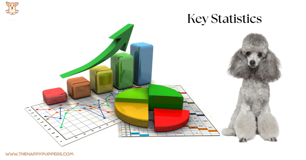 toy poodle key statistics infographic with graphs popularity health data