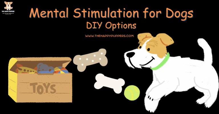 Mental stimulation for dogs DIY