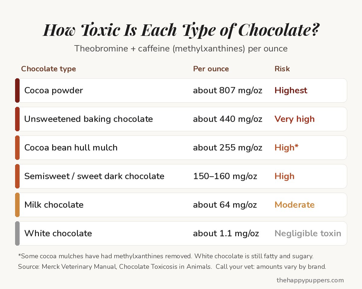 Chart of how toxic each type of chocolate is to dogs: cocoa powder about 807 mg per ounce, baking chocolate about 440, cocoa bean mulch about 255, dark chocolate 150 to 160, milk chocolate about 64 and white chocolate about 1.1 mg per ounce (Merck Veterinary Manual)