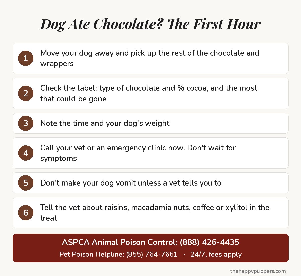 Checklist for the first hour after a dog eats chocolate: move your dog away, check the label, note the time and weight, call your vet now, do not induce vomiting unless a vet says so, and mention raisins, macadamia nuts, coffee or xylitol. ASPCA Poison Control (888) 426-4435, Pet Poison Helpline (855) 764-7661